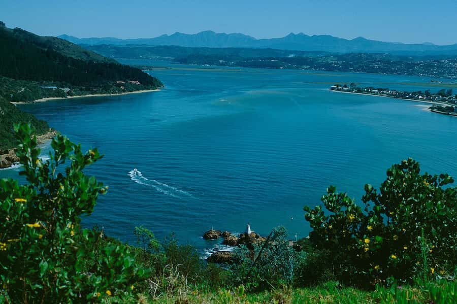 4-Day Garden Route Experience - Day 2: Ostriches, Knysna Heads, and a Bloukrans Bungee Reality Check