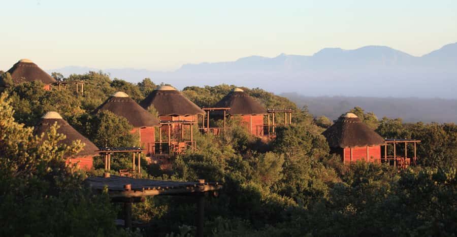 4-Day Garden Route Experience - Day 3: Tsitsikamma National Park, Storms River Mouth, and a Big 5 Sunset