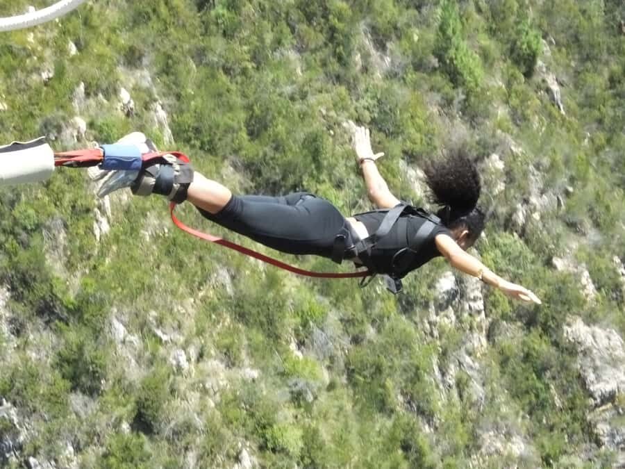 4-Day Garden Route Experience - Day 4: Early Game Drive, Hermanus Whales (In Season), and Stony Point Penguins