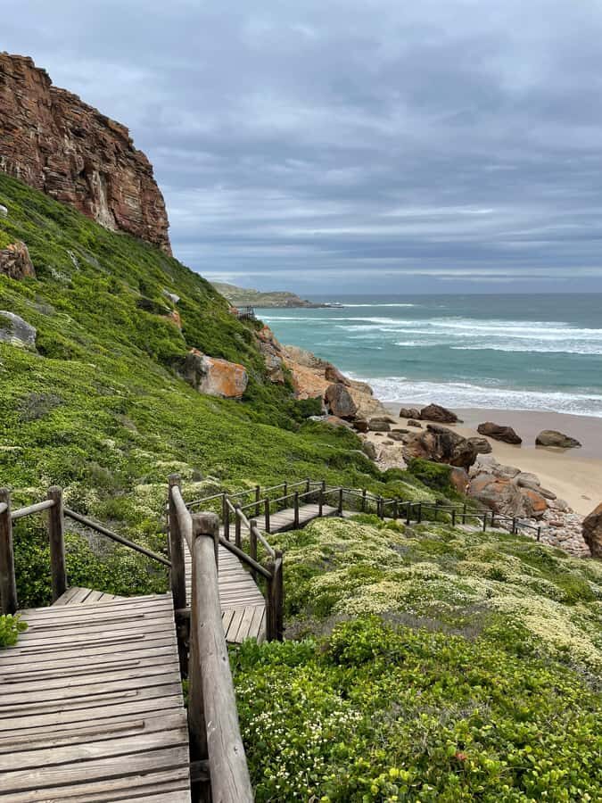 4-Day Garden Route Experience - Food, Group Style, and the Pace Between Stops