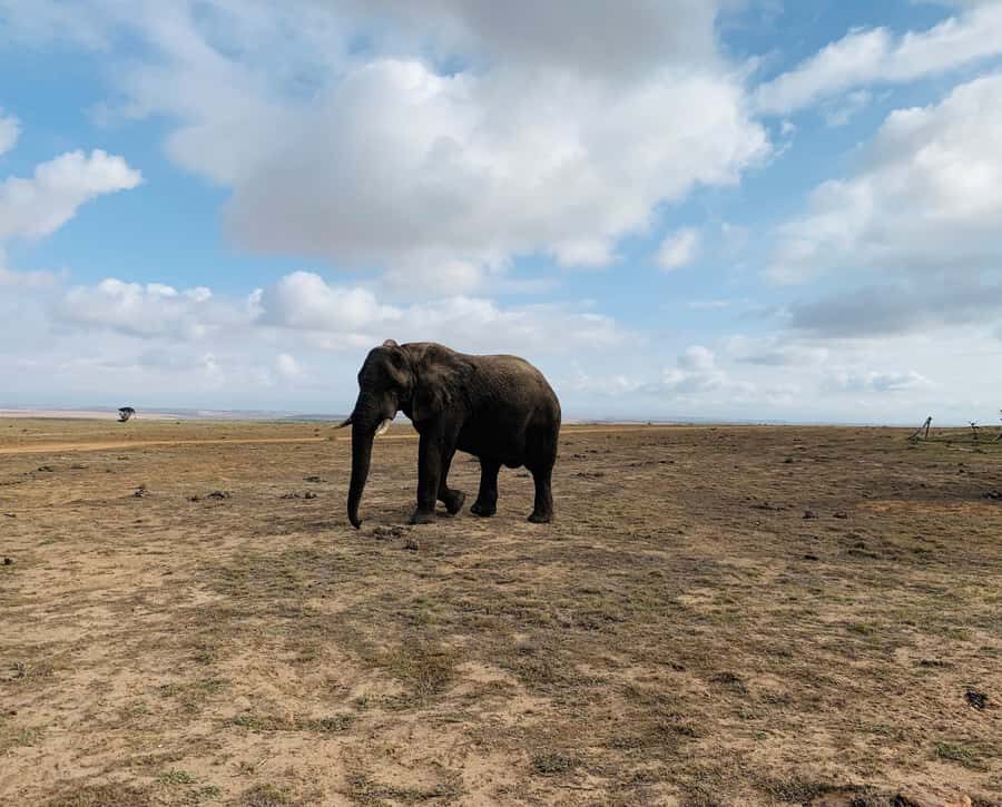 4-Day Garden Route Experience - Guides and Comfort on the Road: What Makes It Feel Easy