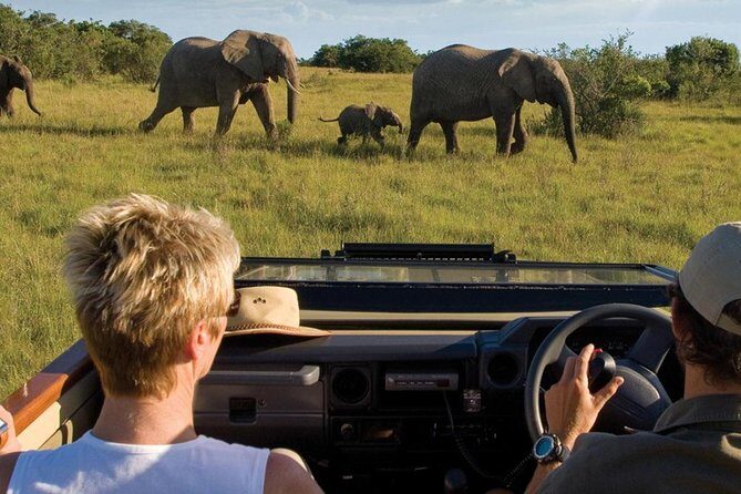4 Day Garden Route Luxe Selection Micro Group Tour from Cape Town - Key highlights worth planning for