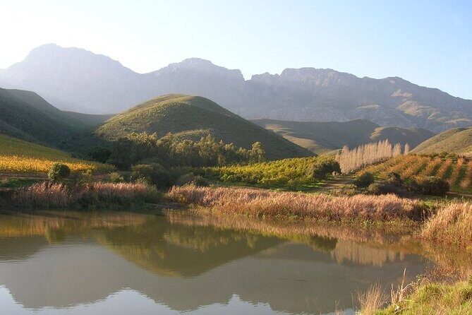 4 Day Garden Route Luxe Selection Micro Group Tour from Cape Town - Day 2: Botlierskop Big-Five Safari Time + Knysna Heads Oysters
