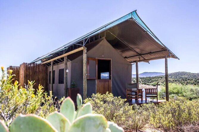 4 Day Garden Route Luxe Selection Micro Group Tour from Cape Town - Food Included, and How It Adds Real Value