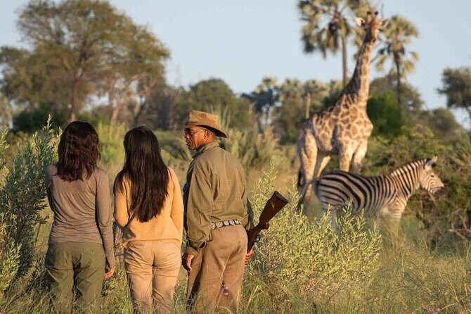 4 Day Garden Route Tour from Cape Town A Hiking and Safari - Price and value: is this $1,304.11 per person fair?
