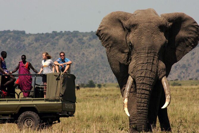 4 Day Garden Route Tour from Cape Town A Hiking and Safari - Logistics that matter: timing, drive time, and staying comfortable