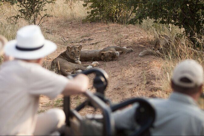 4 Day Greater Kruger Kapama Game Lodge Safari with Panorama Route Journey - Day 3 rest-and-spot at Kapama River Lodge and the option of sleep-out