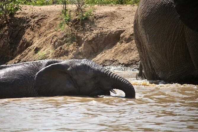 4 Day Greater Kruger Kapama Game Lodge Safari with Panorama Route Journey - Day 4 Panorama Route sunrise drive and the road-trip finale