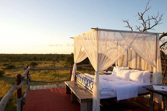 4 Day Greater Kruger Kapama Game Lodge Safari with Panorama Route Journey - Price value: what $2,164.51 covers (and what you still need to decide)
