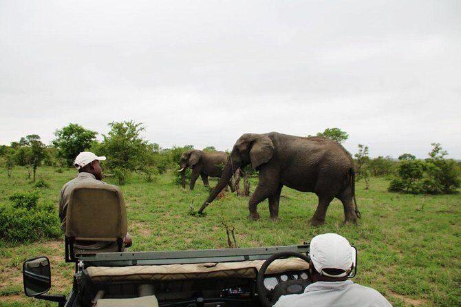 4 Day Greater Kruger National Park Adventure Safari - Key highlights you’ll feel right away
