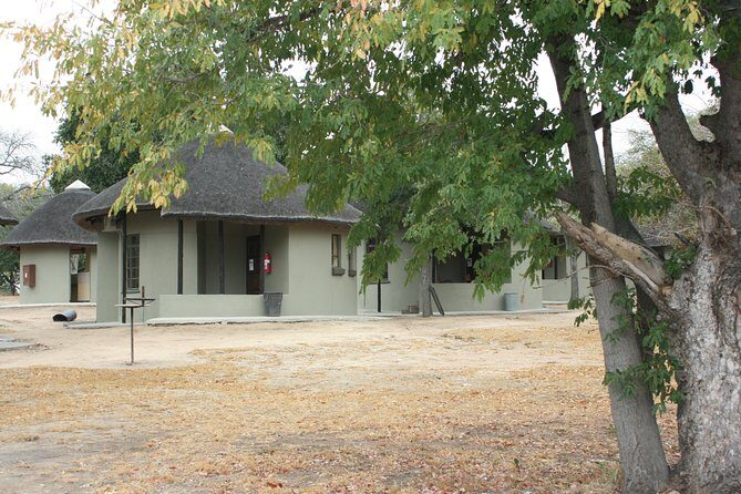 4 Day Greater Kruger National Park Adventure Safari - Getting the most from your drives (without trying too hard)