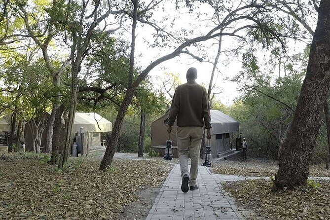 4 Day Kruger Adventure Safari - Kruger on open vehicles: how the schedule helps you see wildlife