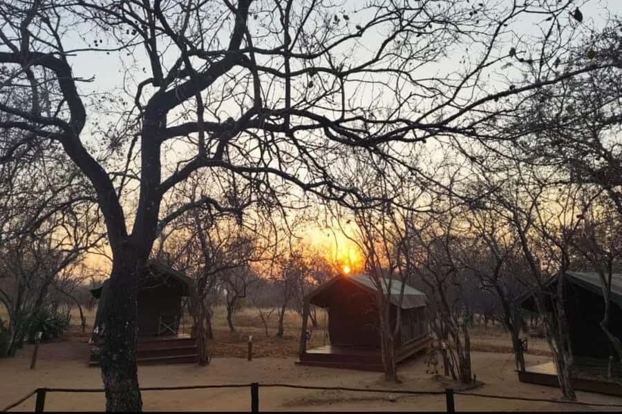 4 Day Kruger Glamping Budget Adventure - Entering Kruger: Sekekama Tented Camp and the 3-hour Big 5 sunset drive