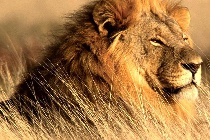 4 Day Kruger National Park and Panorama Route Safari - The Panorama Route day: eight hours of viewpoints, potholes, and falls