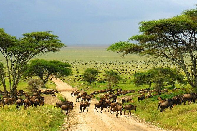 4 Day Kruger National Park and Panorama Route Safari - Where you sleep and how meals are handled