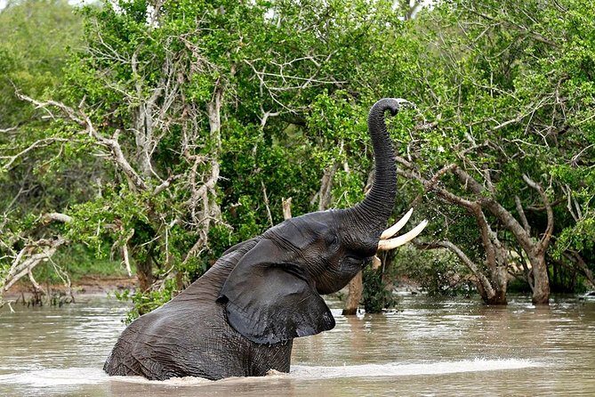 4 Day Kruger National Park and Panorama Route Safari - Who this 4-day Kruger and Panorama tour suits best