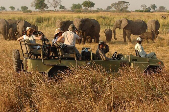 4 Day Kruger National Park and Panorama Tour from Johannesburg - Day Four: Breakfast in Kruger and the Return Through Mpumalanga