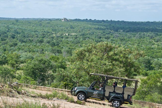 4-Day Kruger National Park Safari including Breakfast and Dinner - Ranger-Led Open Safari Drives With Panoramic Viewing