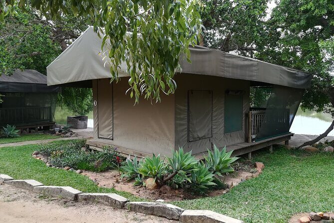 4 Day Kruger National Park Tour - Day 2 Full-Day Kruger from Orpen Gate: Your Best Big Five Shot