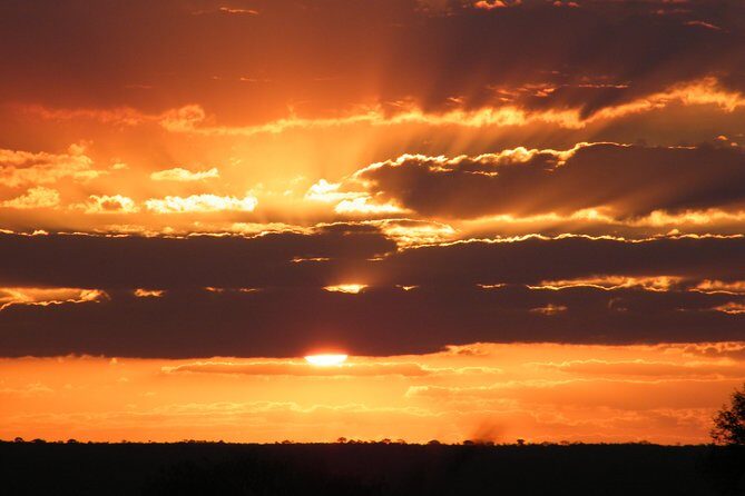 4 Day Kruger National Park Tour - Day 3 Blyde River Canyon and Moholoholo: Canyon Cruise Plus Animal Rehab Reality