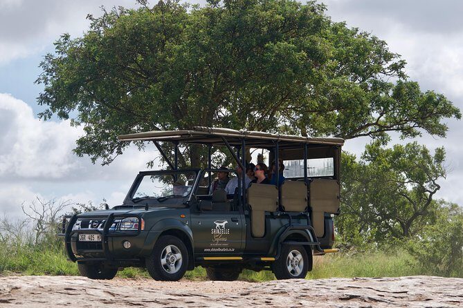4-Day Kruger Park Safari & Panoramic Tour Combo including Breakfast and Dinner - Day 2: early-morning open-vehicle safari with full 180-degree sightlines