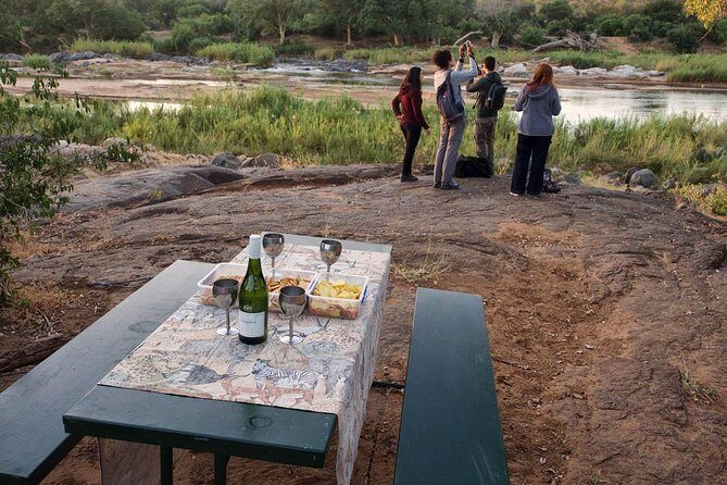 4 Day Lodge and Treehouse Kruger National Park Safari - Day 2: Sunrise Bush Walk in Balule, Brunch Reset, Afternoon Game Drive (Marc’s Treehouses Next)