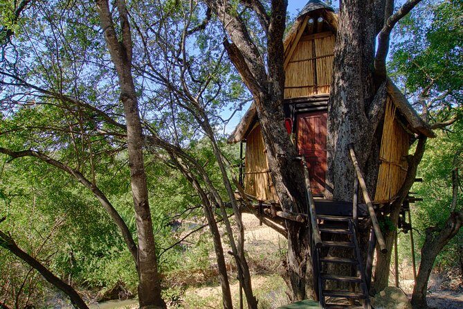 4 Day Lodge and Treehouse Kruger National Park Safari - Day 1: Balule Set-Up, Sunset Drive, and the Bush BBQ (Tremisana Nights)