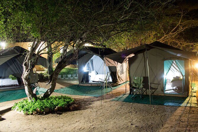 4 day Private Kruger Under Canvas Safari - Key highlights you’ll actually feel