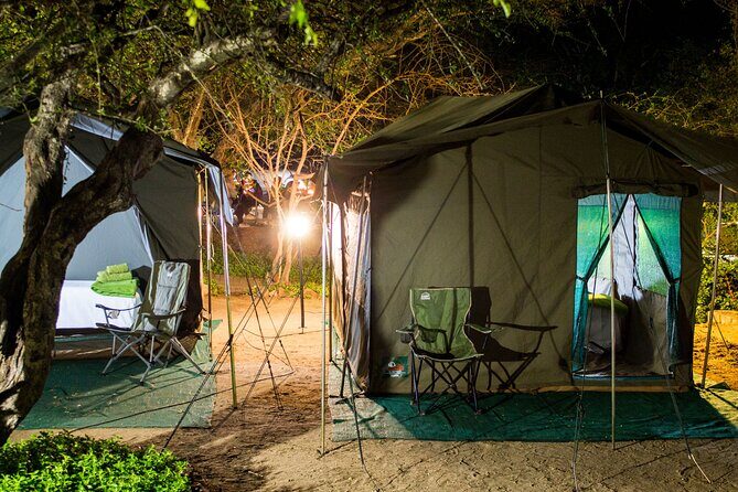 4 day Private Kruger Under Canvas Safari - Day 3: another full morning, plus an optional night drive