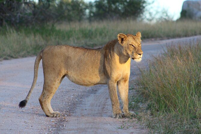 4 day Private Kruger Under Canvas Safari - Food and campfire cooking: what’s included (and what’s not)