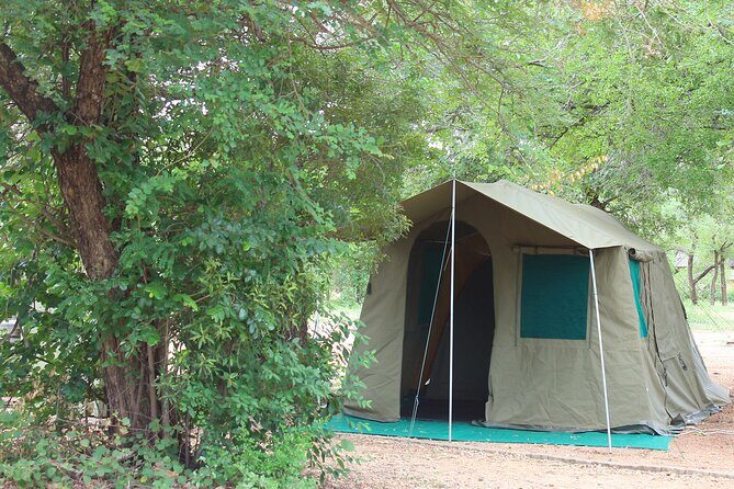 4 day Private Kruger Under Canvas Safari - Day 1: transfer in, settle down, then braai under the stars