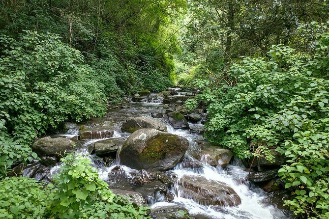 4-Day Private Natal Midlands Falls to Falls Tour - Day 2: Logging paths to Mt Gilboa and Grey Mare’s Falls