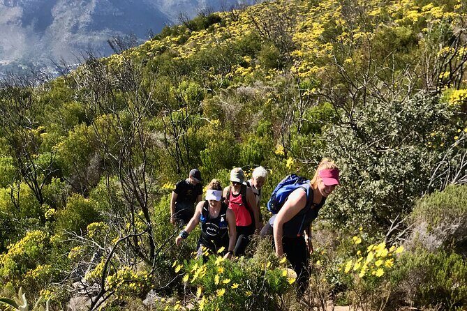 4 Day Table Mountain 13 Peaks Challenge - How the 13 Peaks Challenge Really Feels: Pace, Distance, and Climbing