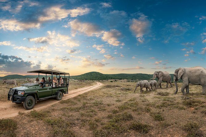 4 days Kruger Park Big 5 Safari and Awesome Panorama Route - Day 2: Blyde Canyon Dam Boat Ride and Entering Kruger Through Orpen