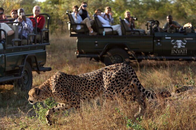 4 Days Radisson Kruger Safari Tour from Johannesburg - Day 4 Moditlo Private Game Reserve: Mbesi River Morning and a More Intimate Safari Finish