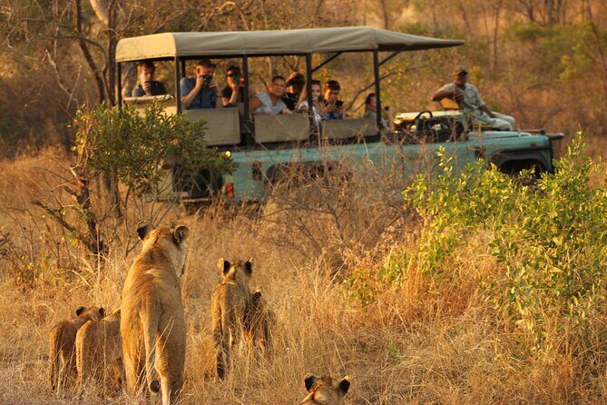 4 Days Radisson Kruger Safari Tour from Johannesburg - Where This Tour Offers Strong Value (and Where It Doesn’t)