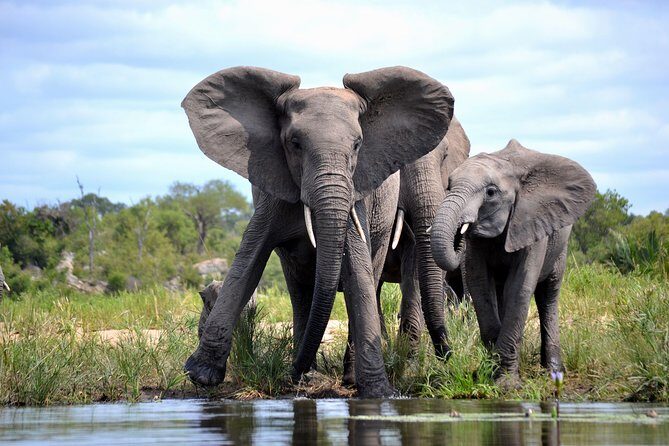 4 Night Kruger safari and Blyde Canyon - Blyde River Canyon: early views first, then waterfalls the next morning