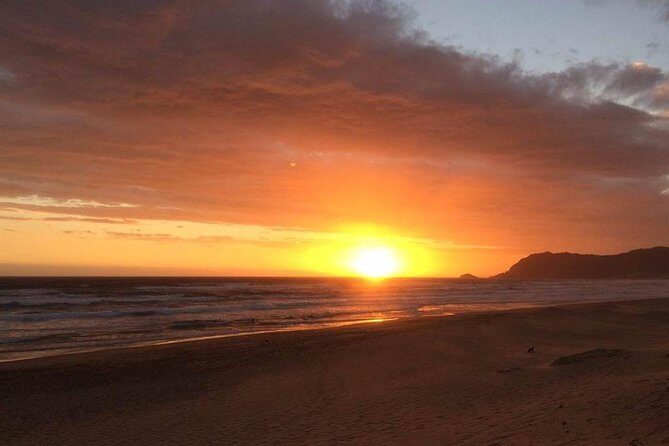 5 Day Cape to Addo Safari - Garden Route Small Group Tour - Day 2: Wilderness canoe trip and a waterfall hike near Sedgefield