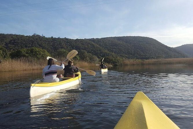 5 Day Cape to Addo Safari - Garden Route Small Group Tour - Day 5: Oudtshoorn and Cango Caves, including a longer adventure option