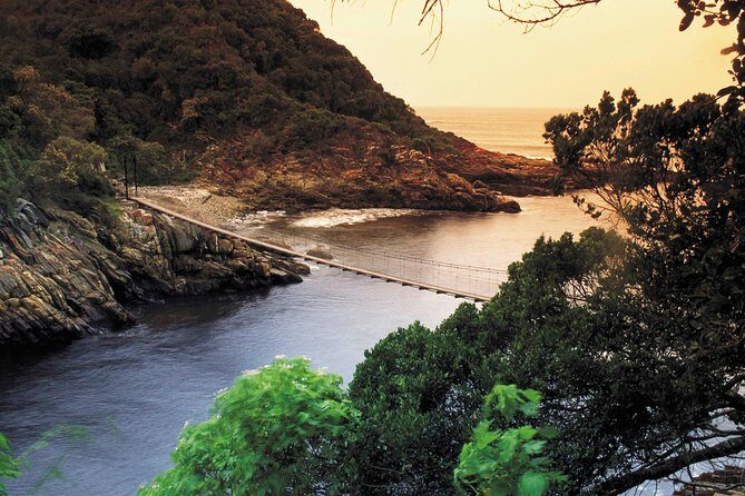 5 Day Cape to Addo Safari - Garden Route Small Group Tour - What you get for the money (and what you’ll pay extra)