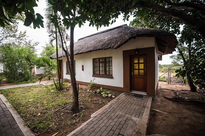 5 Day Classic Kruger National Park Safari - Wildlife viewing in a real schedule: how this itinerary maximizes your odds