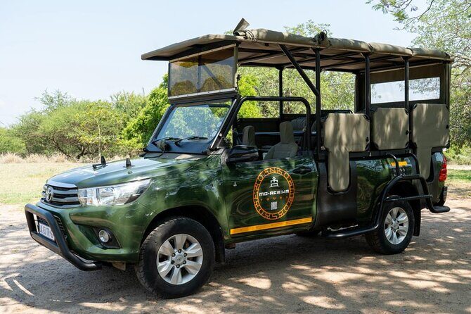 5 Day Dumela Tented Camp at Kruger National Park - Wildlife expectations: leopards, hyenas, buffalo, and a shot at the Big Five