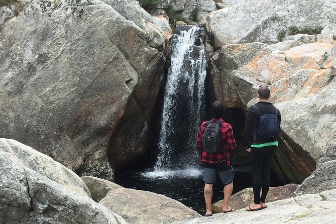 5-Day Garden Route & Addo Adventure from Cape Town to Port Elizabeth - Pace, comfort, and the group vibe that makes it easier