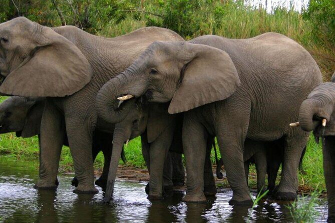 5 Day Garden Route Small Group Tour Fr CapeTown - Departs Mondays - Entering the Garden Route loop: small-group pacing from Cape Town