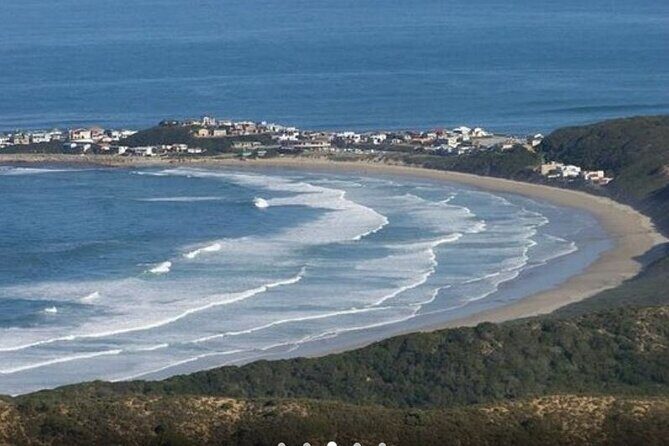 5 Day Garden Route Small Group Tour Fr CapeTown - Departs Mondays - Cape Agulhas to Hermanus: the route meets the whale zone