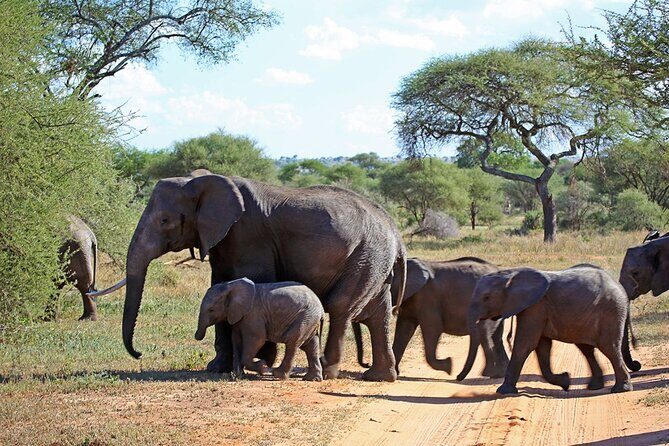 5 Day Garden Route Small Group Tour Fr CapeTown - Departs Mondays - R62 Wine Route + Outeniqua Pass: the start that sets the mood