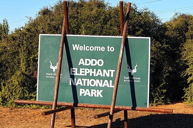 5 Day Garden Route Tour - Port Elizabeth to Cape Town - Day 2: Tsitsikamma National Park for big views and real outdoors time