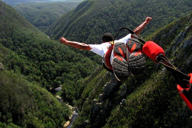 5 Day Garden Route Tour - Port Elizabeth to Cape Town - How the guide, the small group, and air-conditioned comfort change your day