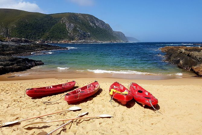 5 Day Garden Route Tour - Port Elizabeth to Cape Town - Day 1: Dolphin Beach and a gentle start on the coast