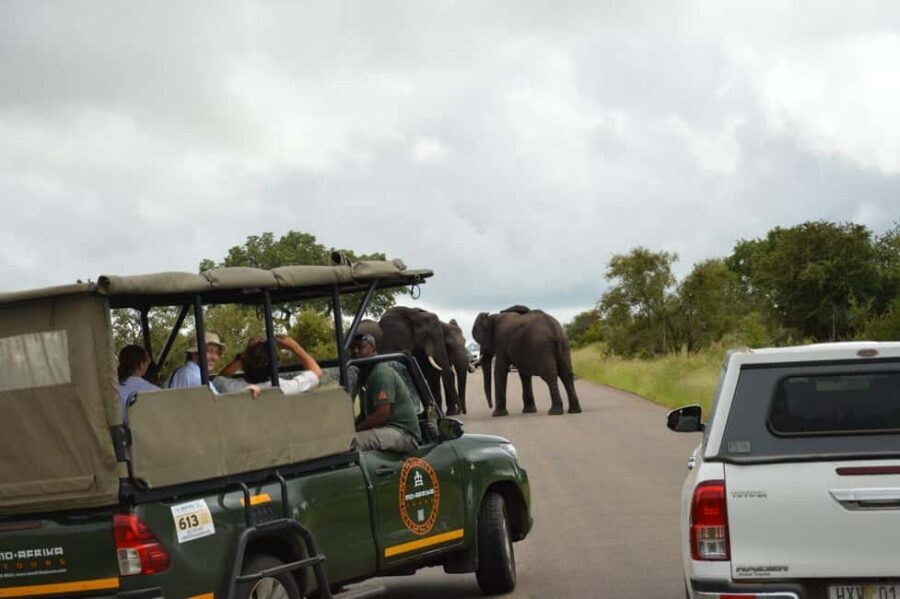 5 Day Kruger Glamping Budget Adventure - Who this 5-day Kruger adventure fits best